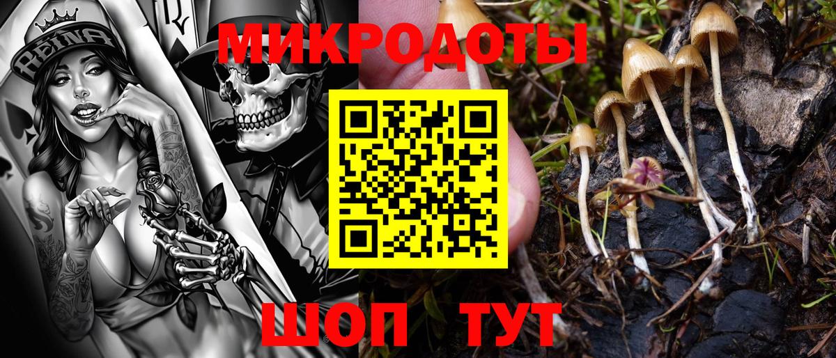 Псилоцибиновые грибы Psilocybine cubensis  Вход с VPN  Галлюциногенные грибы мицелий  Костомукша 