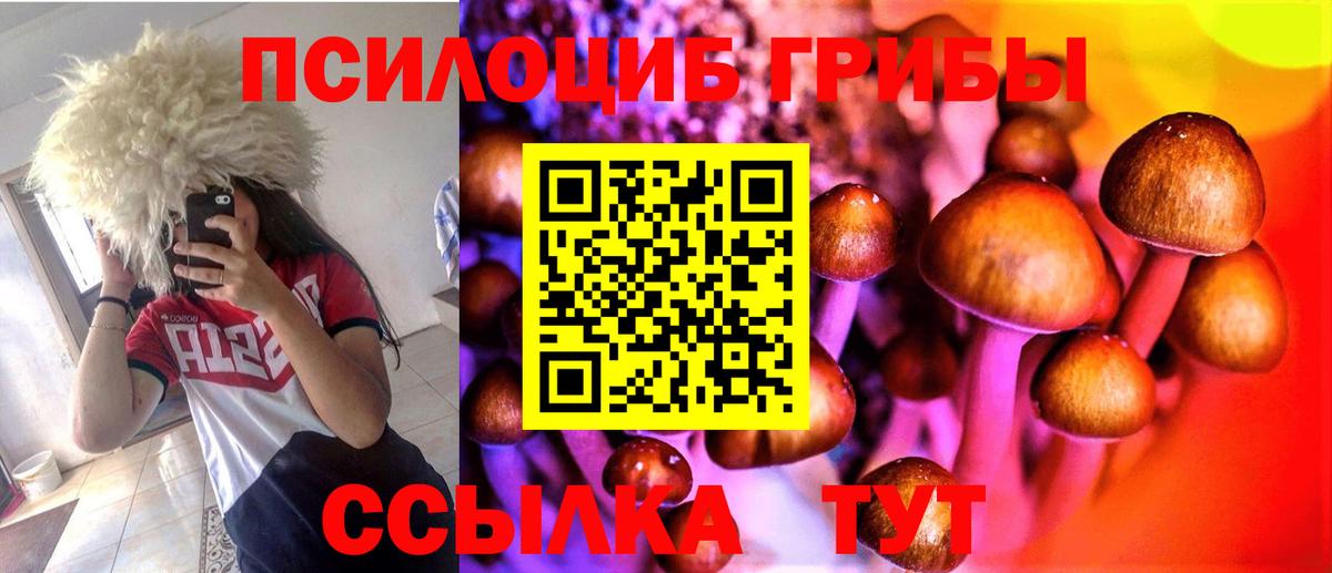 Псилоцибиновые грибы Psilocybine cubensis Костомукша